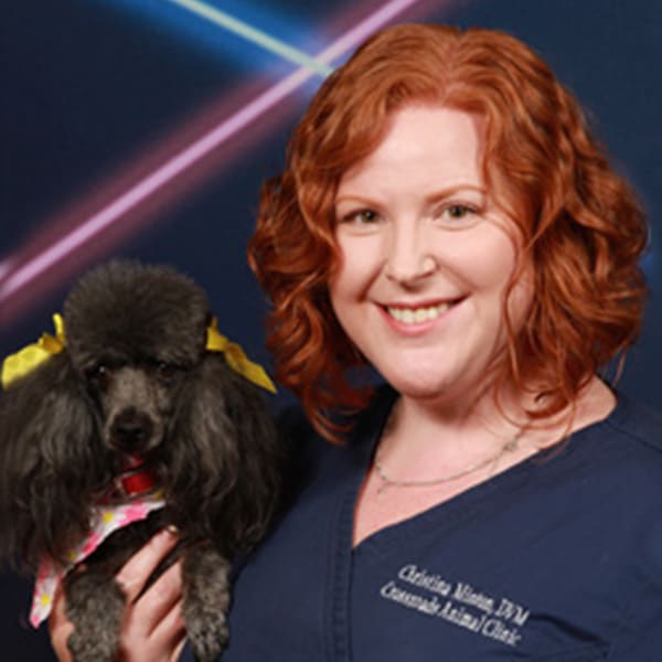 Dr. Christina Minton, Arlington Veterinarian