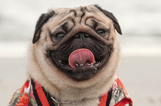 What Clients Are Saying